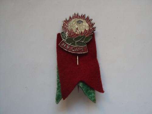 N. E. CAPE PIN BADGE