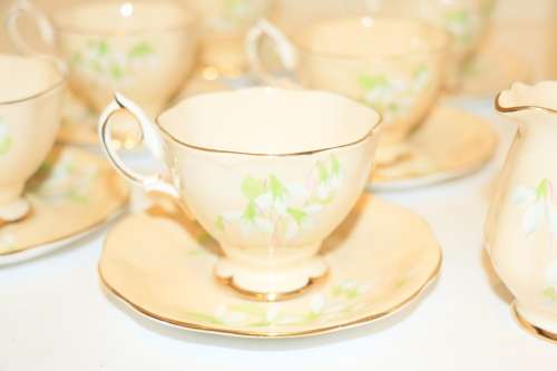 Royal Albert Peach "Laurentian Snowdrop" 15 piece Coffee Set