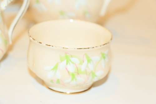 Royal Albert Peach "Laurentian Snowdrop" 15 piece Coffee Set