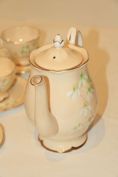 Royal Albert Peach "Laurentian Snowdrop" 15 piece Coffee Set