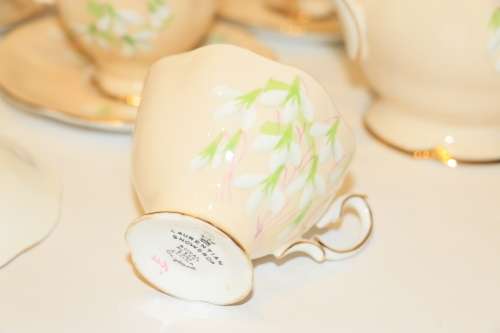 Royal Albert Peach "Laurentian Snowdrop" 15 piece Coffee Set