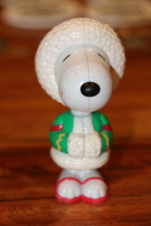 Snoopy - Alaska