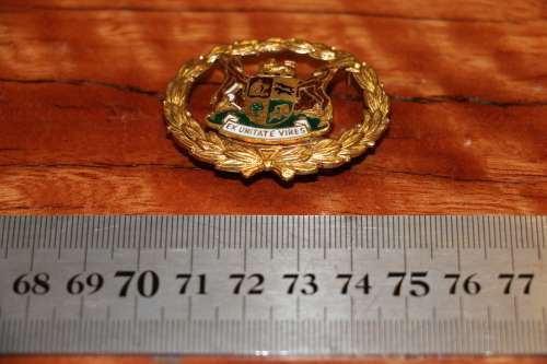 RSA Coat of Arms Badge