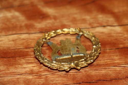 RSA Coat of Arms Badge