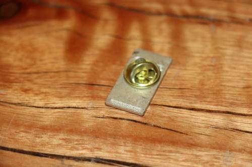 1995 Rugby World Cup Rugby Pin