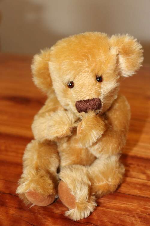 Fred - Mohair Bear -  Handmade by Jafir