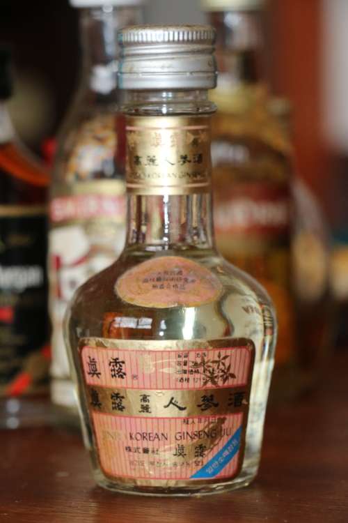 Jinro Korean Ginseng Ju Mini Bottle 50 ml
