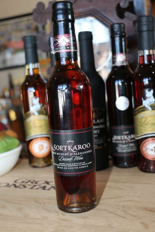 Beautiful Vintage 2009 Soetkaroo Red Muscat D'Alexandrie Dessert Wine - 375ml