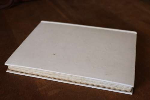Beautiful Antique Book - 1914 Illustrated "The Book of the Year" - c.1914