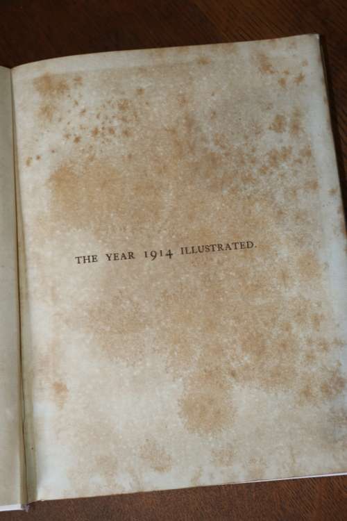 Beautiful Antique Book - 1914 Illustrated "The Book of the Year" - c.1914