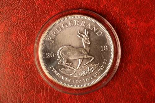 Beautiful 2018 1 Oz Fine Silver South Africa Krugerrand 1R in Capsule