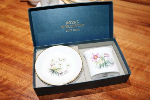 Vintage Royal Worcester Porcelain Toothpick Set