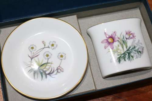 Vintage Royal Worcester Porcelain Toothpick Set