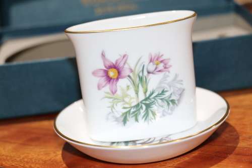 Vintage Royal Worcester Porcelain Toothpick Set