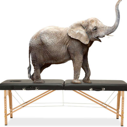 Multifunctiona Deluxe Portable Beauty Massage Bed