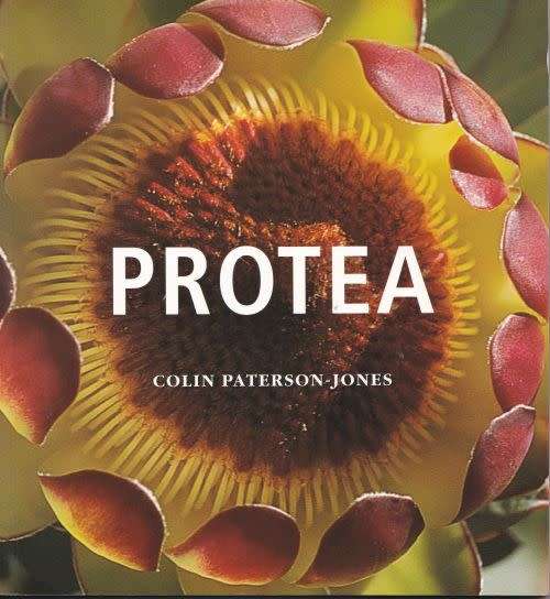 PROTEA by Colin Paterson-Jones
