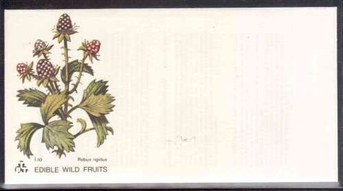 SOUTH AFRICA (Homelands)