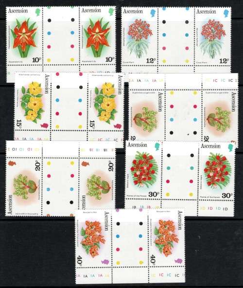 ASCENSION (1981 Flowers)
