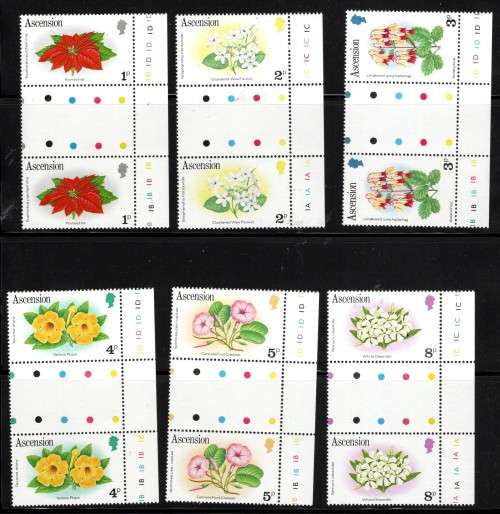 ASCENSION (1981 Flowers)