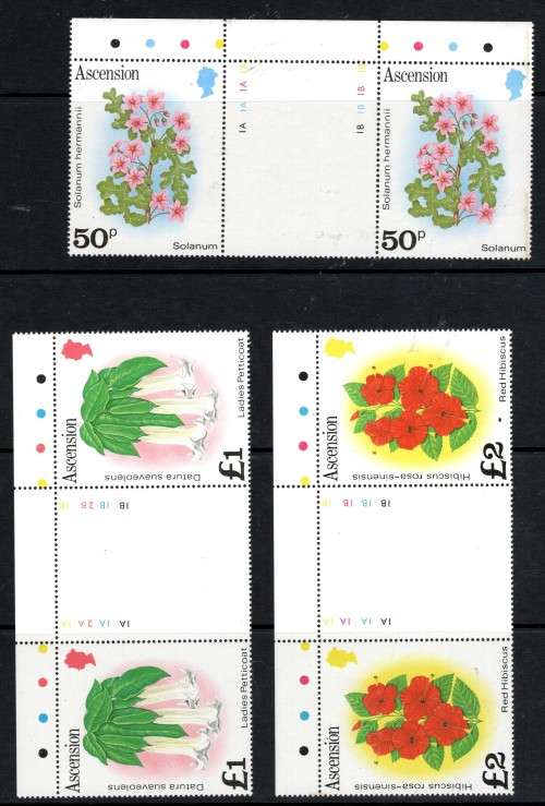 ASCENSION (1981 Flowers)