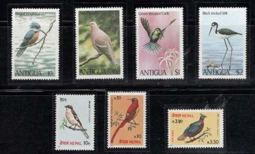 BIRDS (World)