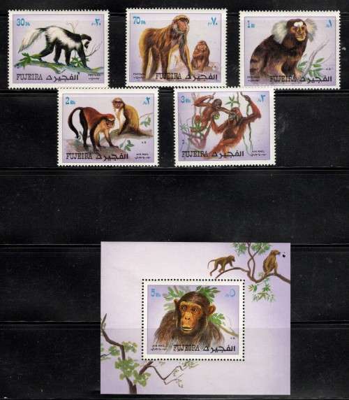 FUJEIRA (Animals)
