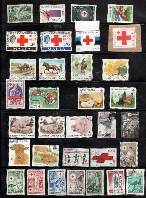 RED CROSS (1 Pages)