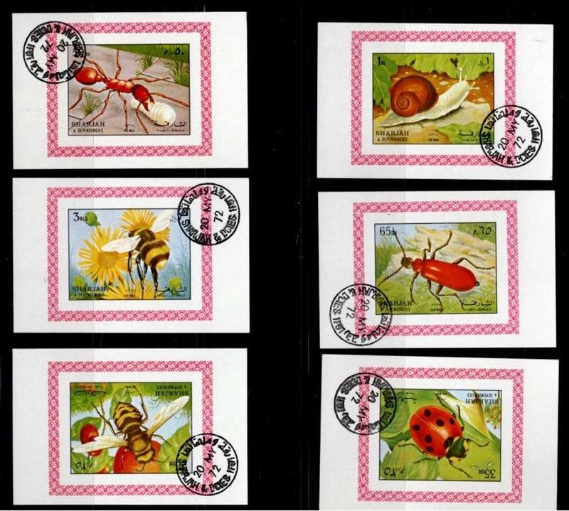 SHARJAH (Insects)