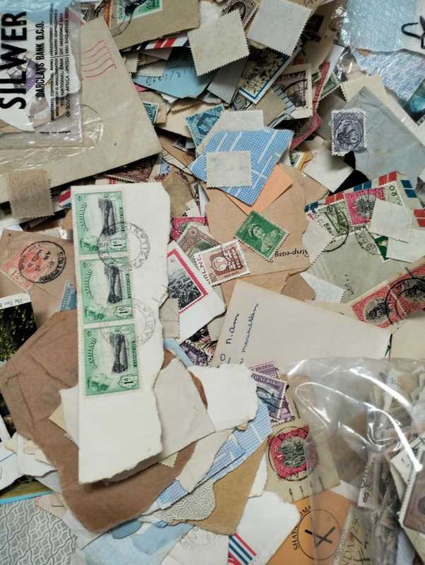 BONANZA BOX # 4