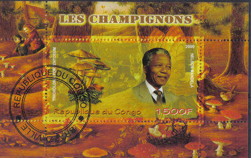 NELSON MANDELA *CONGO*2009 MS CTO