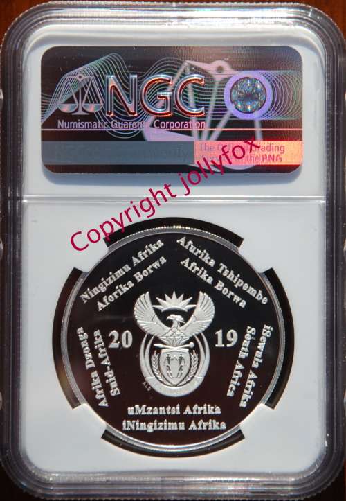 *** TOP GRADE!! *** 2019 SR2 POLYMER PUTTY PF70UC - ONLY 17 EXIST!! ***