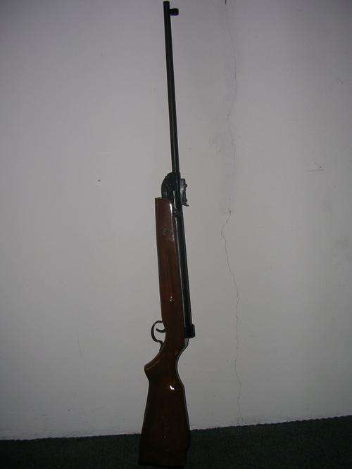 Pellet Gun