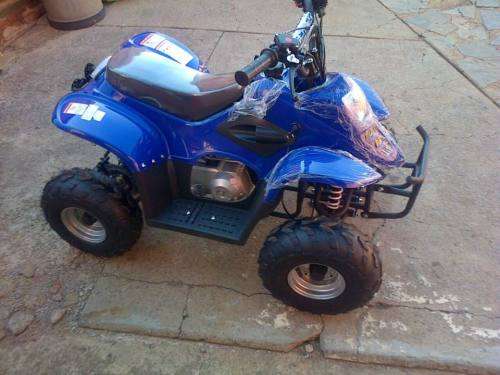 NEW in Crate 110cc 4 Stroke Electric Start Quad Bike Minimoto