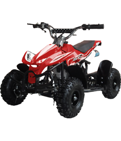 50cc 2 Stroke Air-Cooled Mini Quad