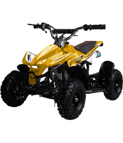 50cc 2 Stroke Air-Cooled Mini Quad