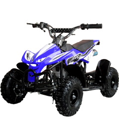 50cc 2 Stroke Air-Cooled Mini Quad