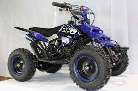 NEW 2018 50cc 2 Stroke Mini Quad Bike