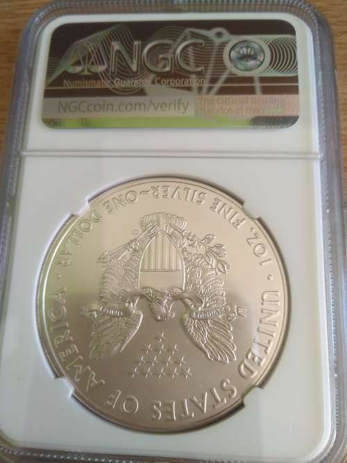 2019 1 TROY OZ. .999 SILVER AMERICAN SILVER EAGLE GRADED MS69 BY NGC.