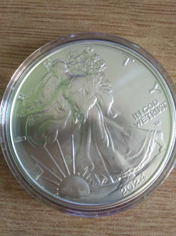 2024 American Silver Eagle 1 oz .999 silver coin (Bid per coin)