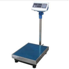 300kg platform scale