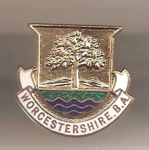 WORCESTERSHIRE  BOWLING ASSOCIATION - LAPEL BADGE
