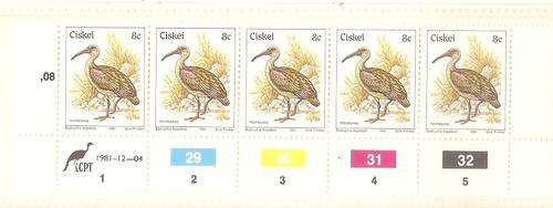 CISKEI 1981 - SACC 12 - "DEF."  CONTROL STIP of 5 STAMPS (UM)