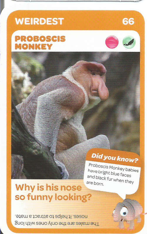 "SUPER ANIMALS" - PICK&PAY TRADING CARD COLLECTION - CARD 66