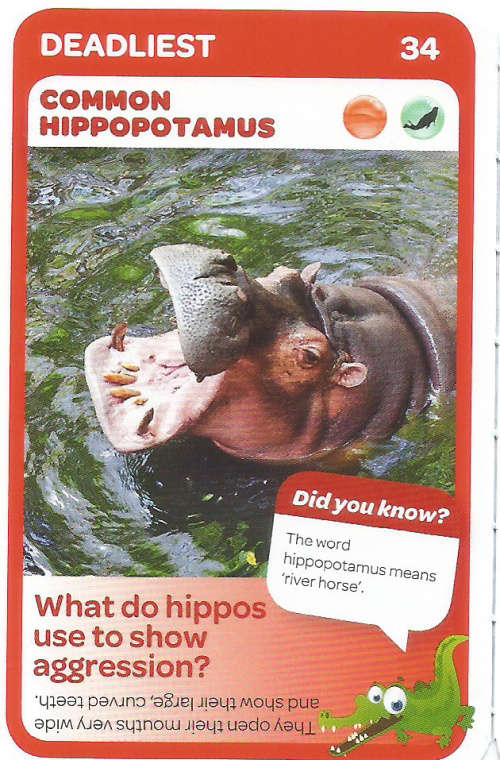 "SUPER ANIMALS" - PICK&PAY TRADING CARD COLLECTION - CARD  34