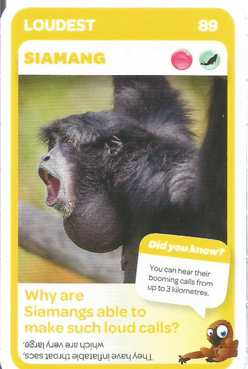 "SUPER ANIMALS" - PICK&PAY TRADING CARD COLLECTION - CARD  89