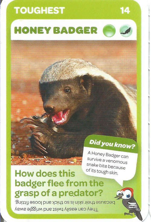 "SUPER ANIMALS" - PICK&PAY TRADING CARD COLLECTION -  CARD 14