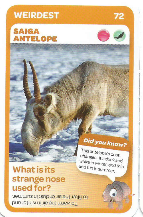"SUPER ANIMALS" - PICK&PAY TRADING CARD COLLECTION - CARD 72
