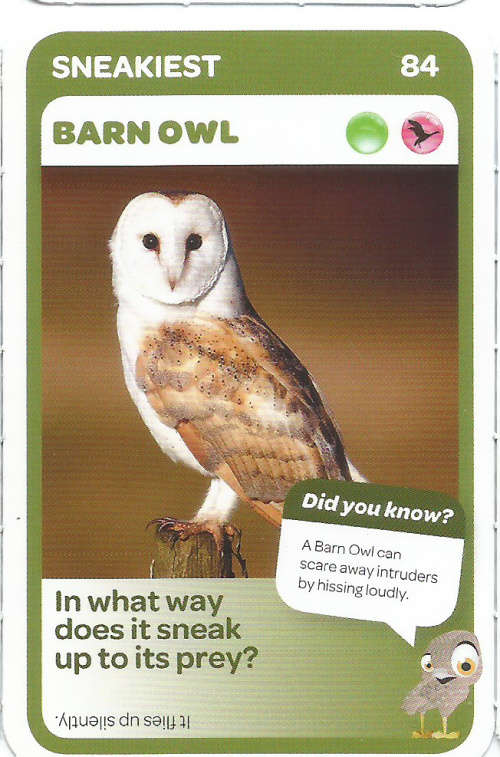 "SUPER ANIMALS" - PICK&PAY TRADING CARD COLLECTION - CARD 84