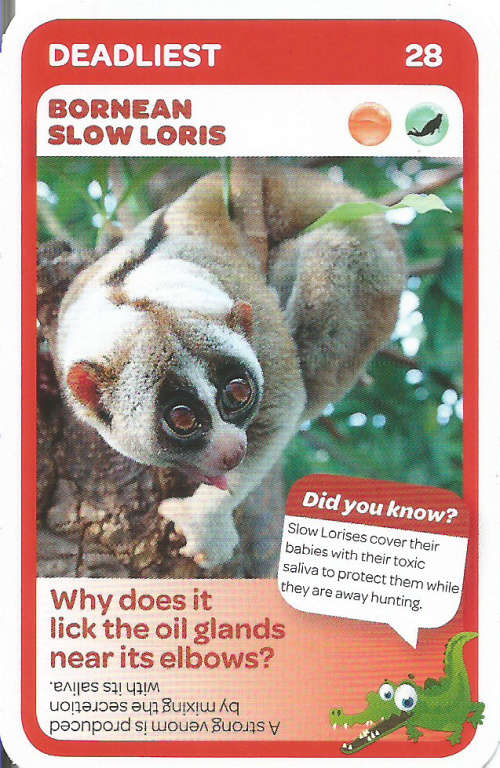 "SUPER ANIMALS" - PICK&PAY TRADING CARD COLLECTION -  CARD 28