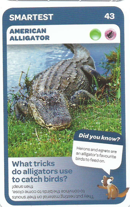 "SUPER ANIMALS" - PICK&PAY TRADING CARD COLLECTION - CARD 43